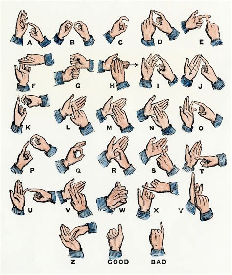 Is sign language universal. Things To Know About Is sign language universal. 